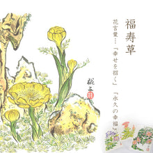 画像をギャラリービューアに読み込む, ポストカード<br>3枚セット【H】<br>絵はがき/福寿草<br>鶏頭/桔梗